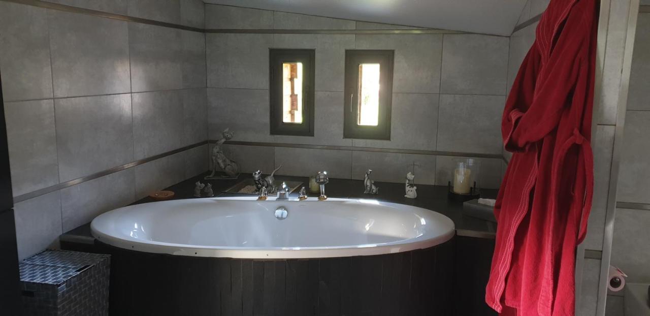 Valsonne Domaine De La Rue De La Tour Bed & Breakfast エクステリア 写真