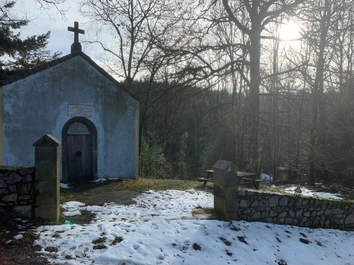 Valsonne Domaine De La Rue De La Tour Bed & Breakfast エクステリア 写真